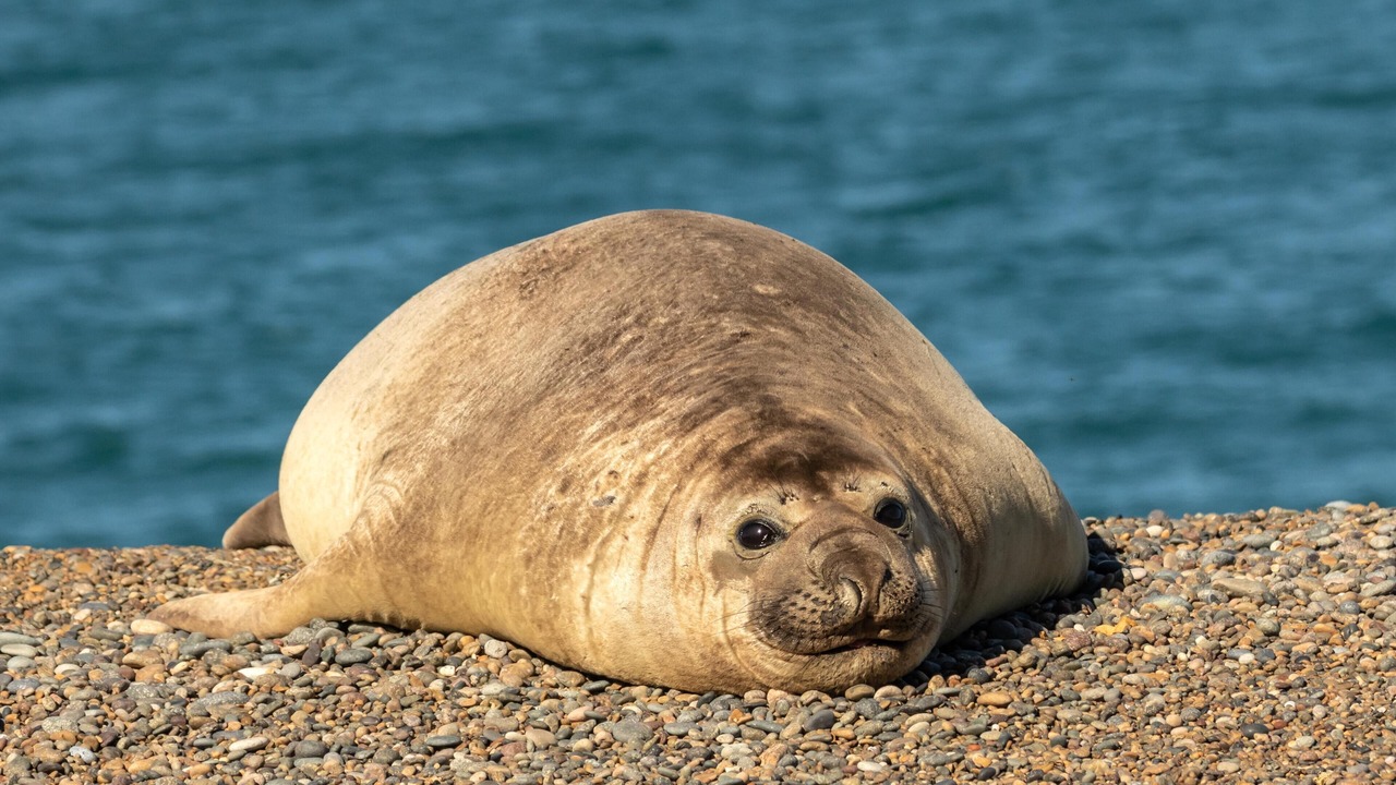 Photo of Outdoor in Punta Delgada