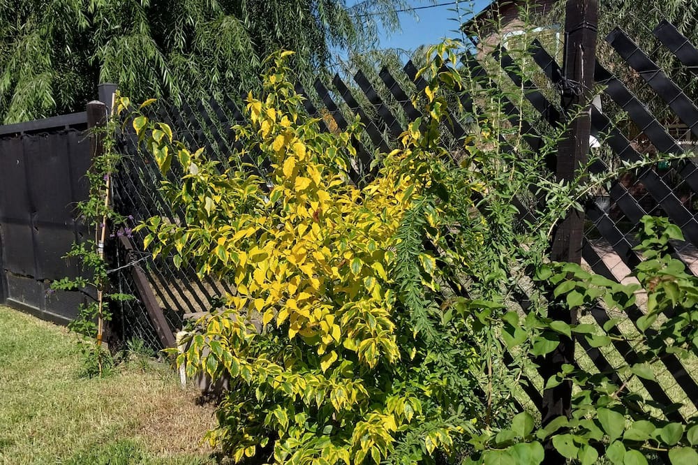 Photo of Outdoor in Roldan
