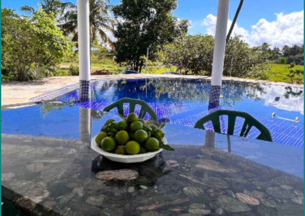 Photo of Outdoor in Barra do Sirinhaem