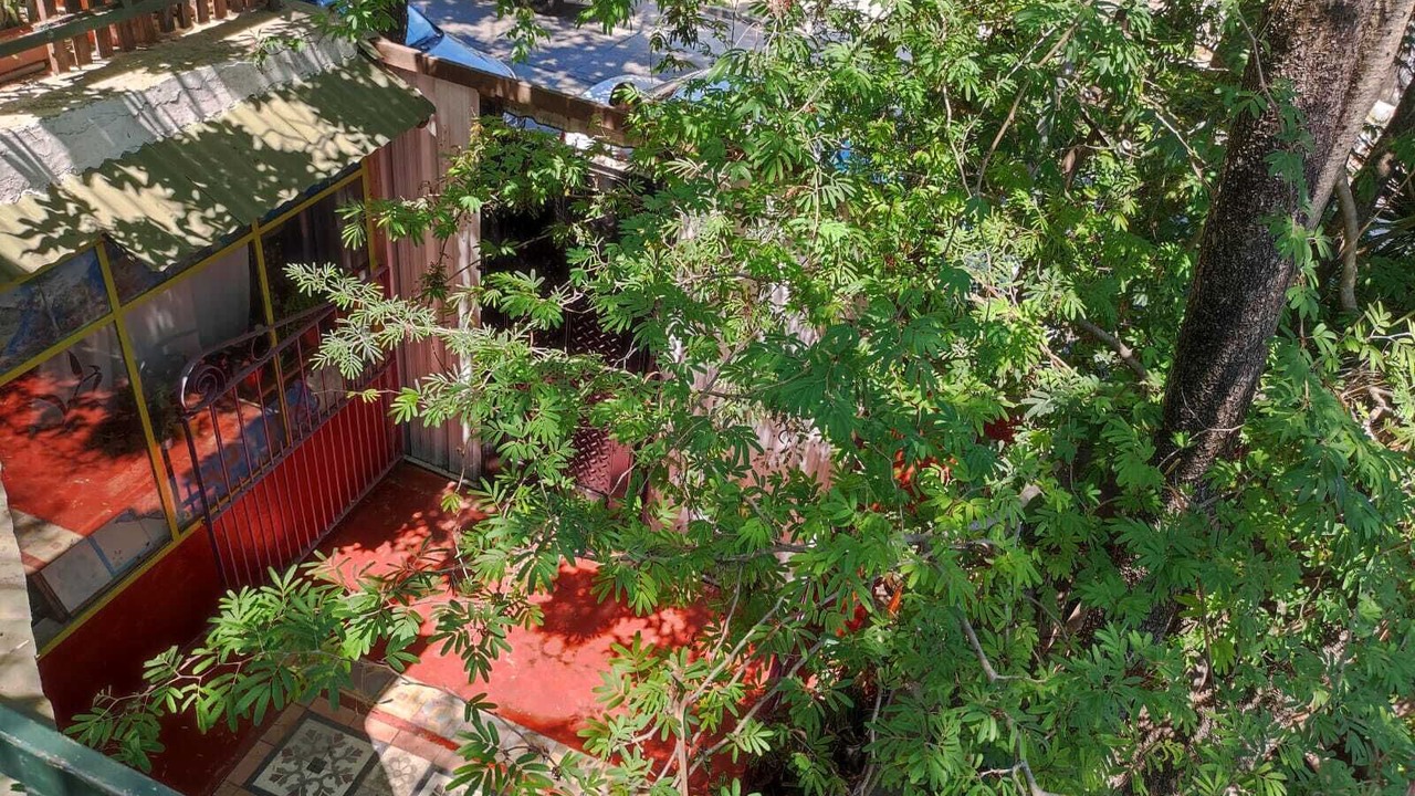 Photo of Outdoor in Tigre