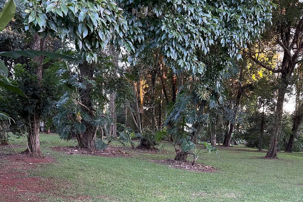 Photo of Outdoor in Cascavel