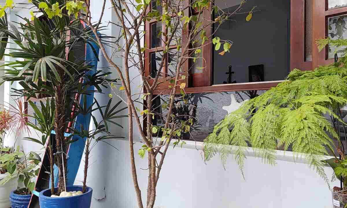 Photo of Patio Balcony in Centro