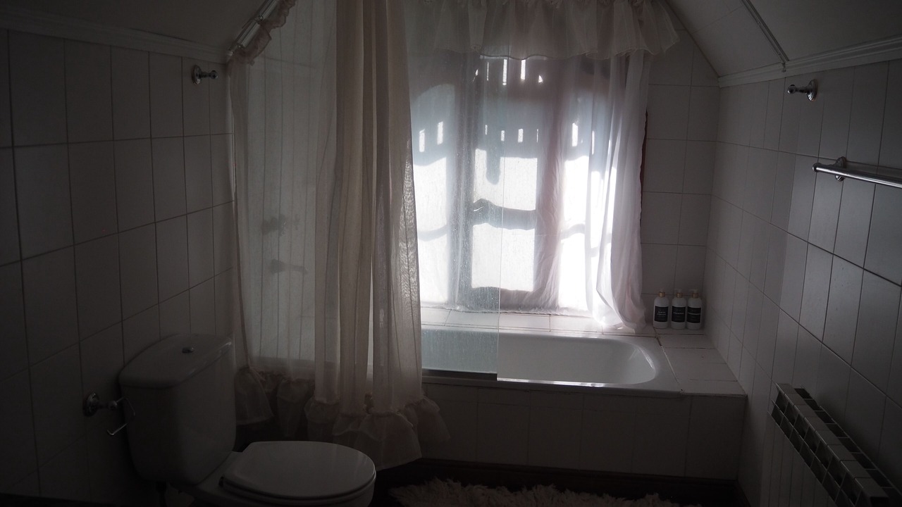 Photo of Bathroom in Maipu