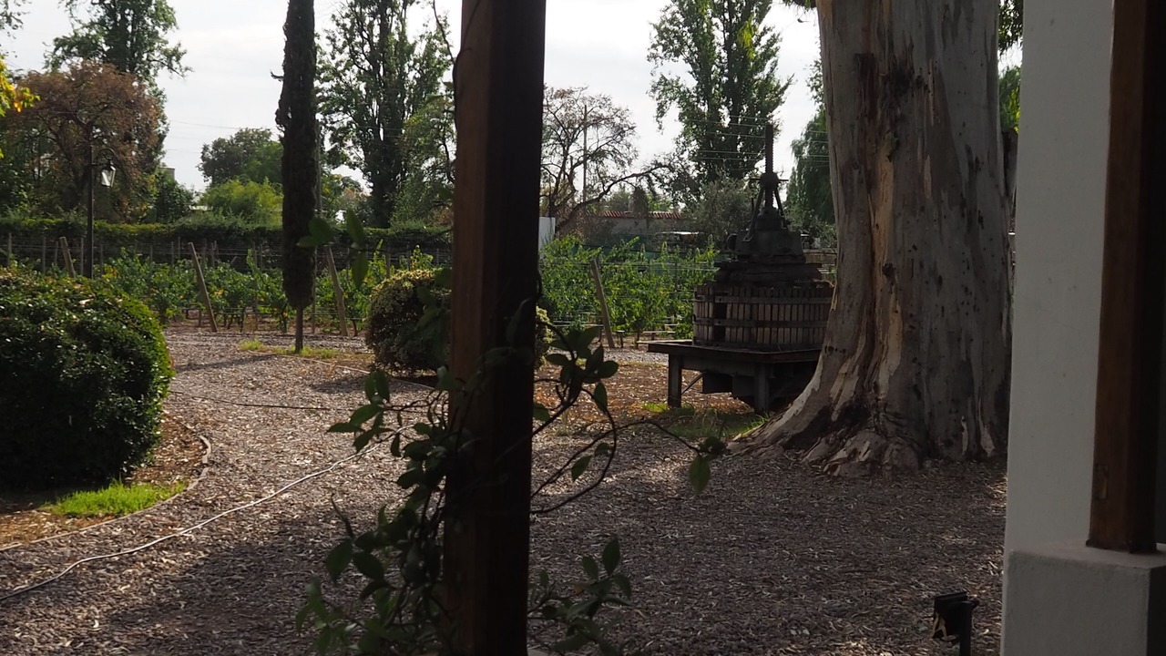Photo of Outdoor in Maipu