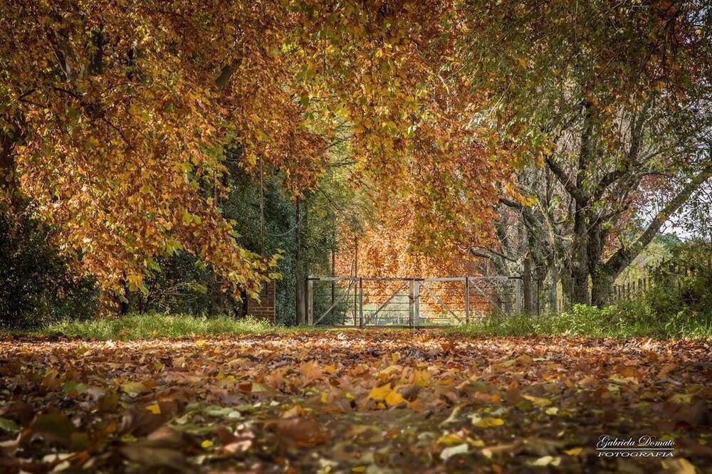 Photo of Outdoor in La Granja