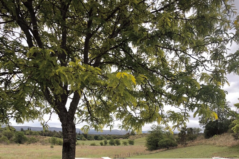 Photo of Outdoor in La Granja