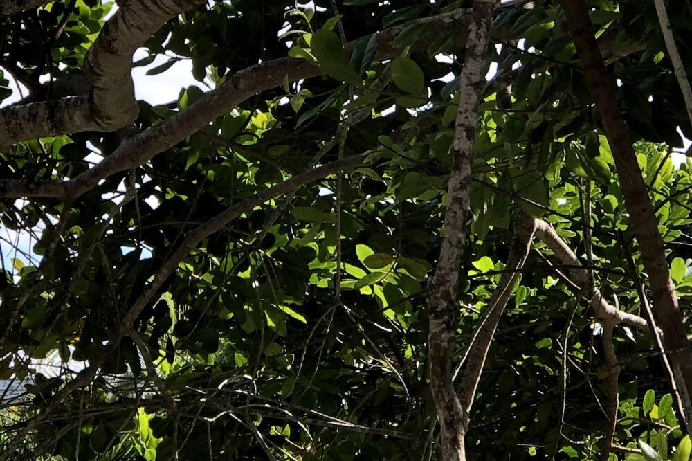 Photo of Outdoor in Porto Seguro