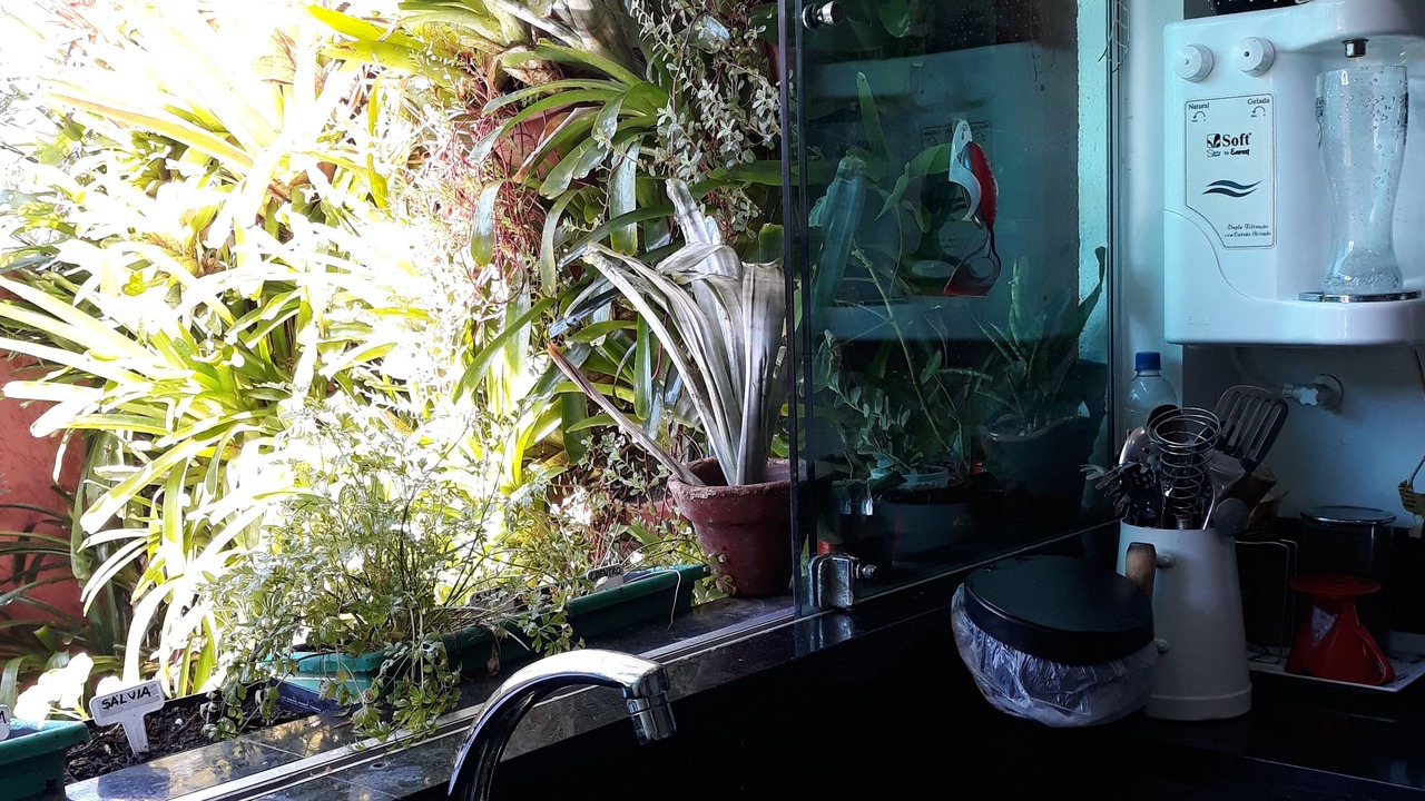 Photo of Kitchen in Vargem Grande