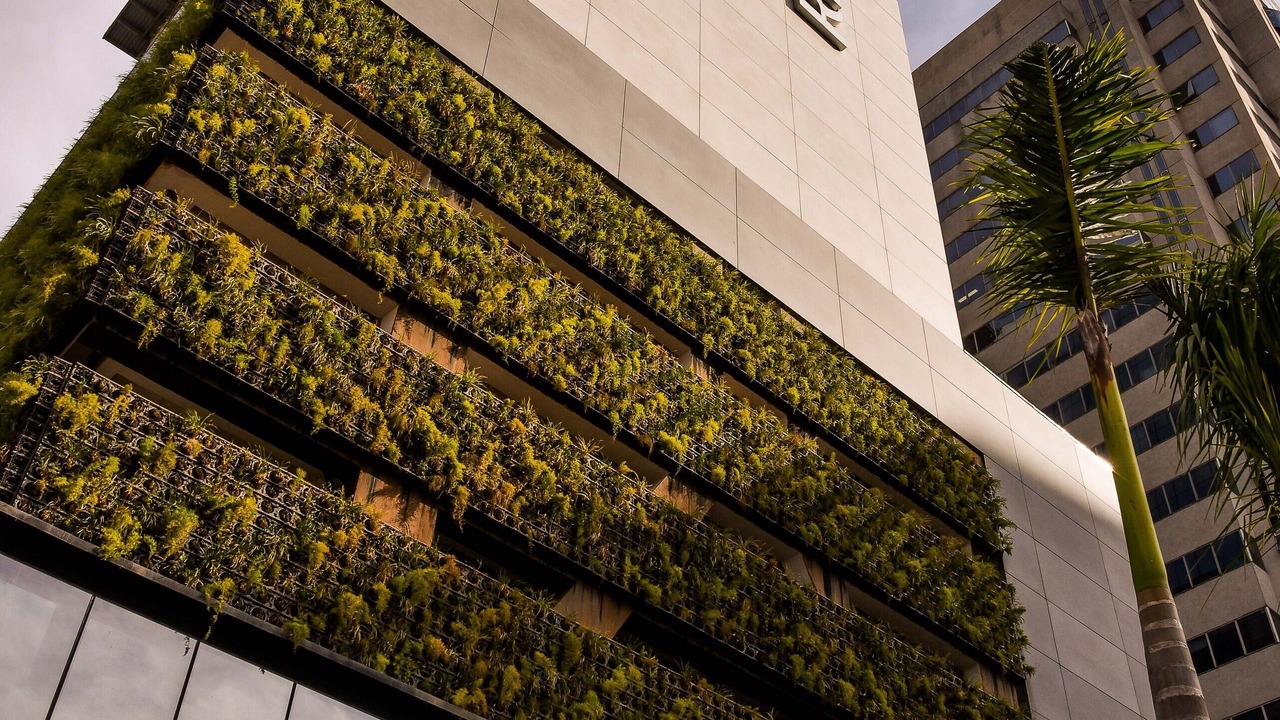 Photo of Outdoor in Sao Paulo