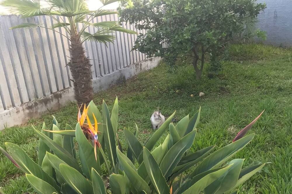 Photo of Outdoor in Canoinhas