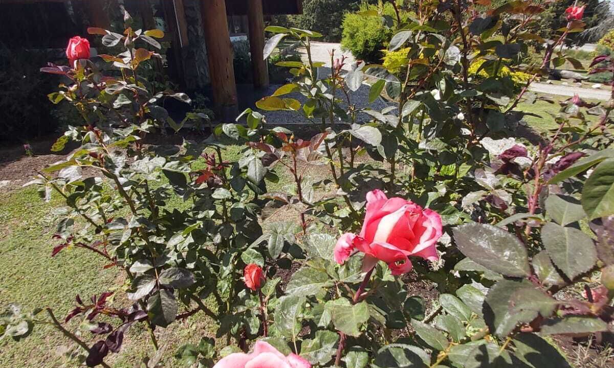 Photo of Outdoor in La Villa