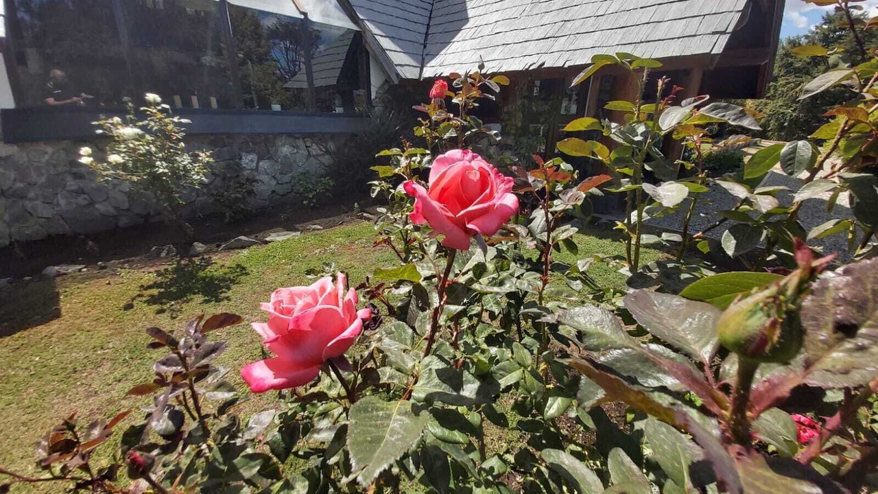 Photo of Outdoor in La Villa