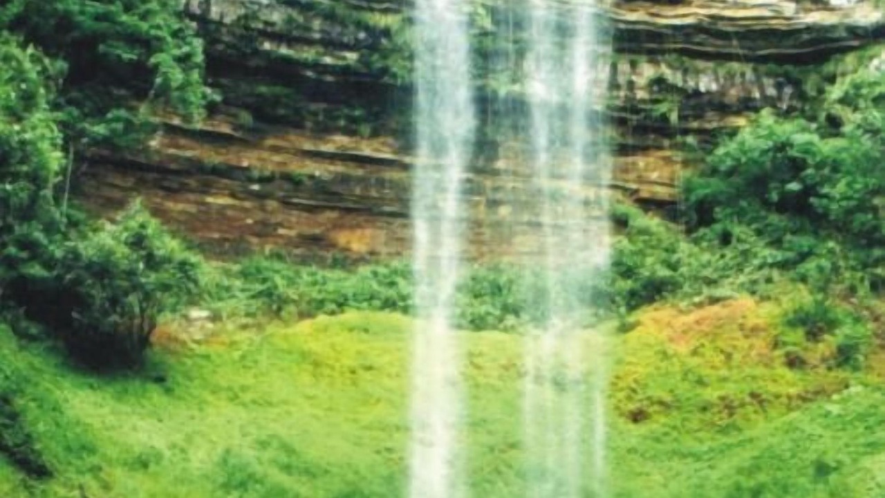 Photo of Outdoor in Caiaponia