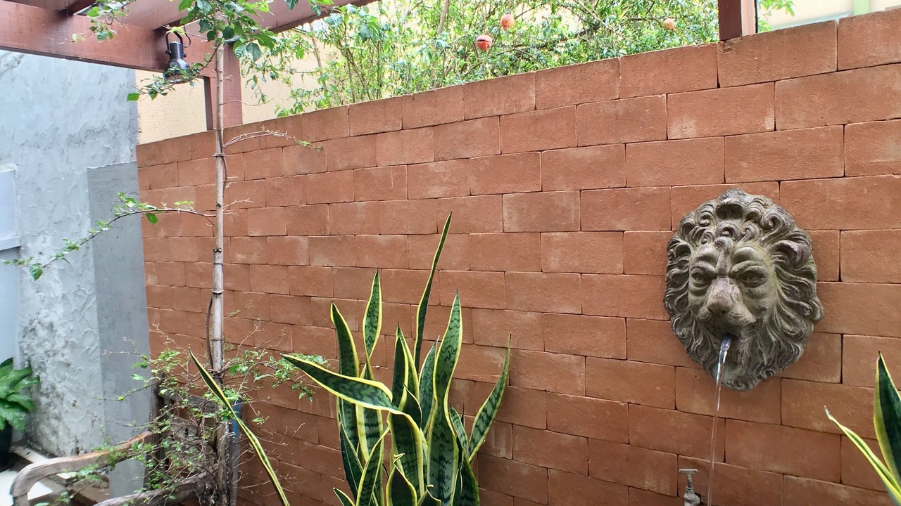 Photo of Outdoor in Zona 01