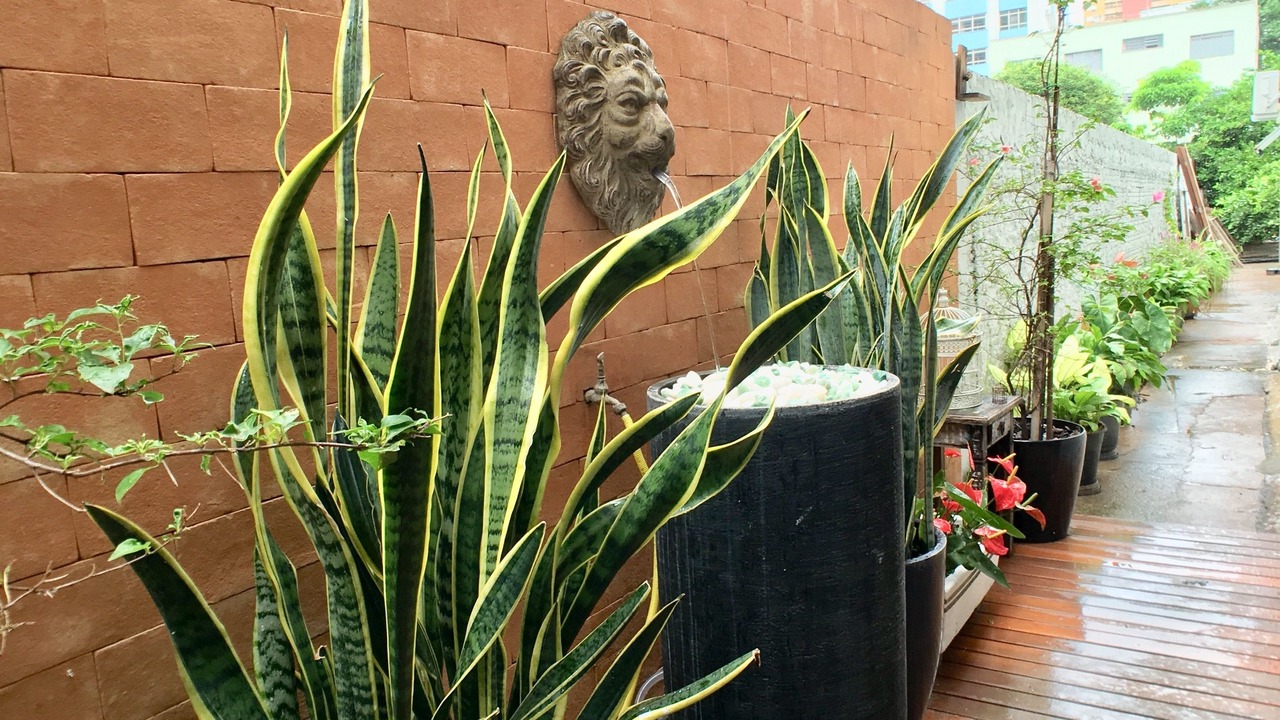 Photo of Outdoor in Zona 01