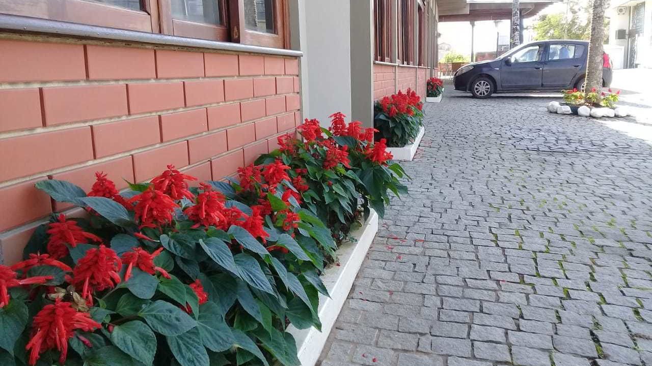 Photo of Outdoor in Picarras