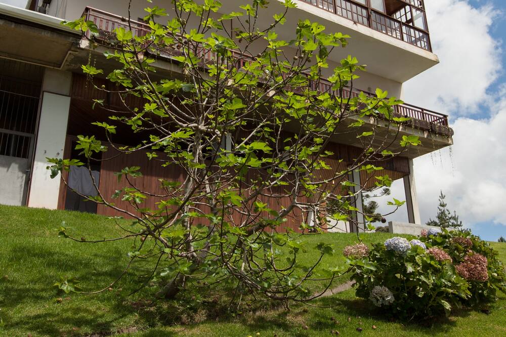 Photo of Outdoor in Vila Everest