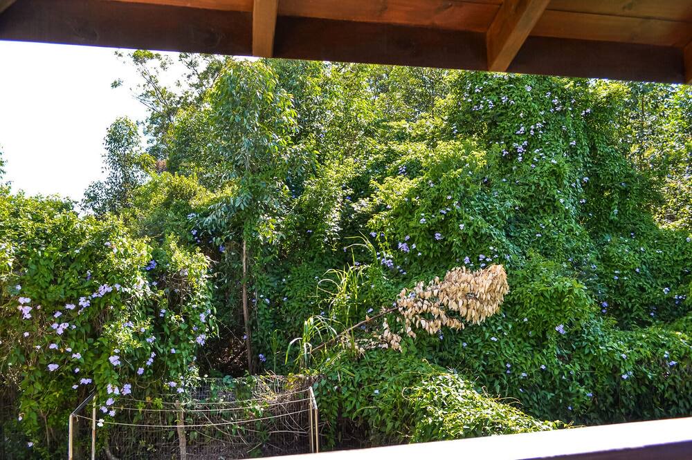 Photo of Patio Balcony in Ibiraquera