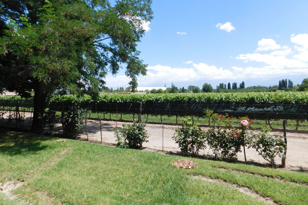 Photo of Outdoor in Tupungato