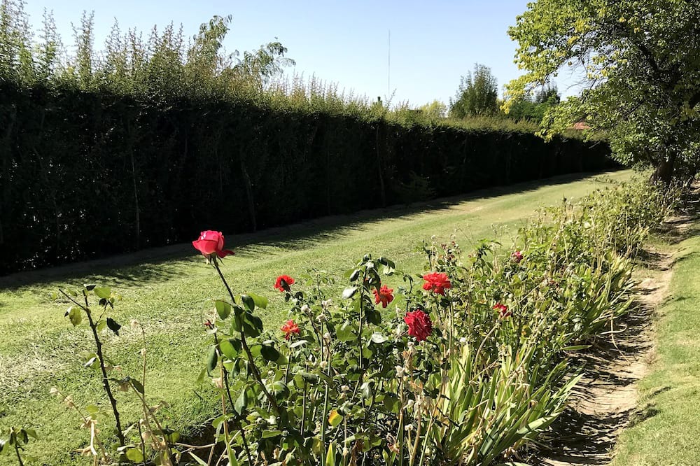 Photo of Outdoor in Tupungato