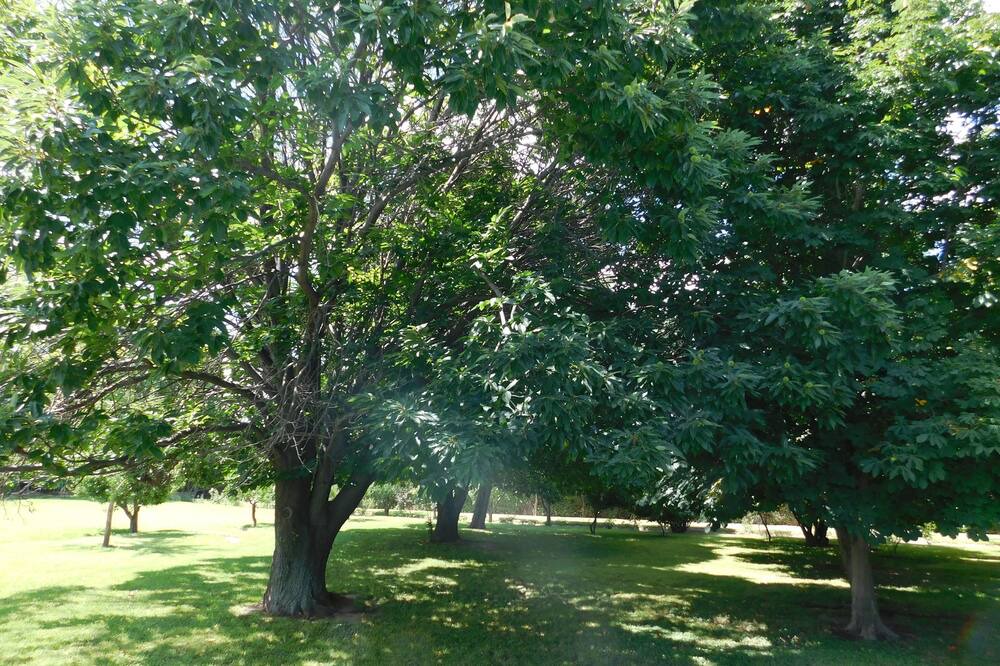 Photo of Outdoor in Tupungato