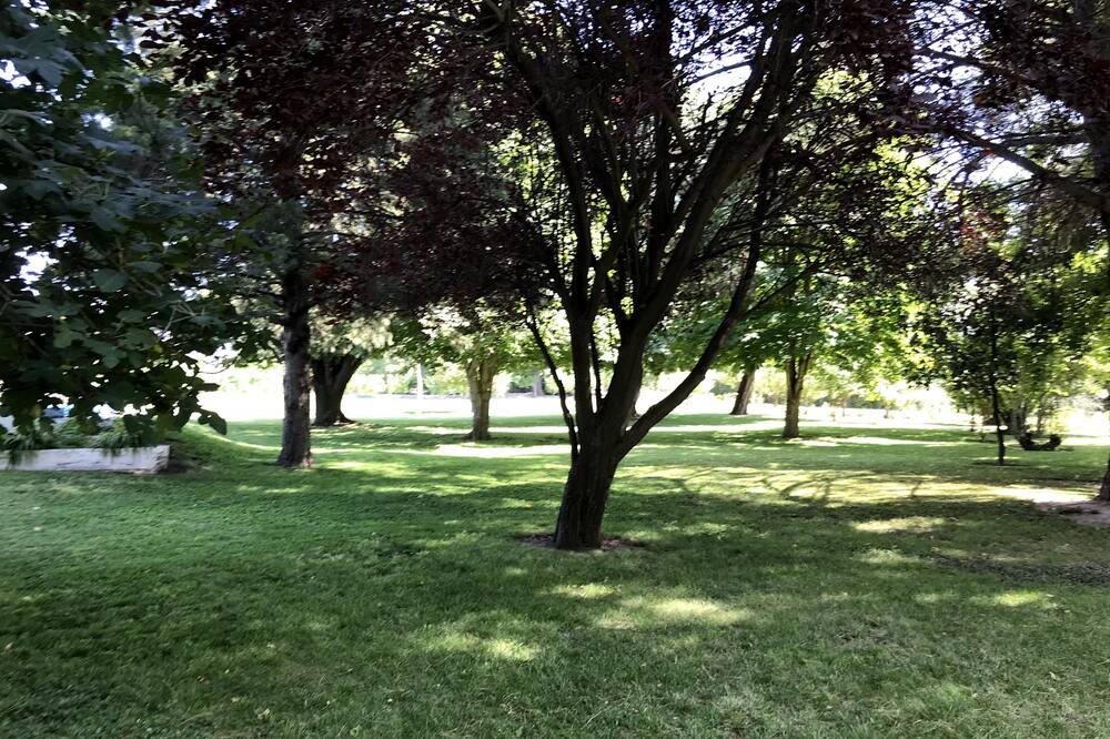 Photo of Outdoor in Tupungato