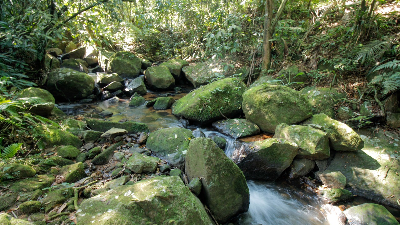 Photo of Outdoor in Felix