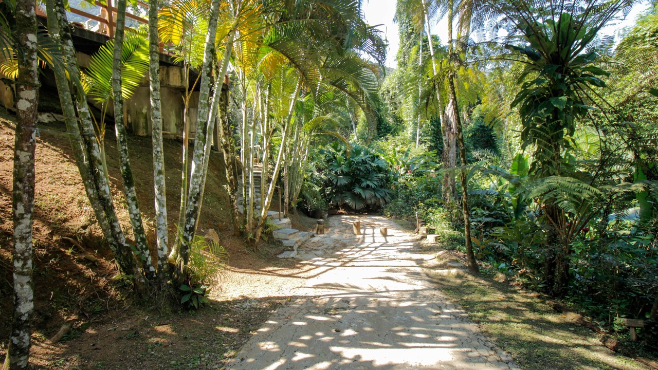 Photo of Outdoor in Felix