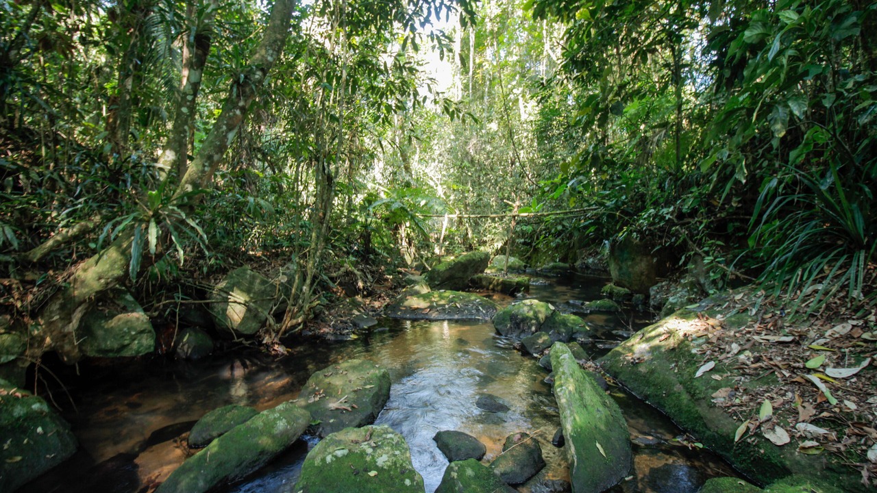 Photo of Outdoor in Felix