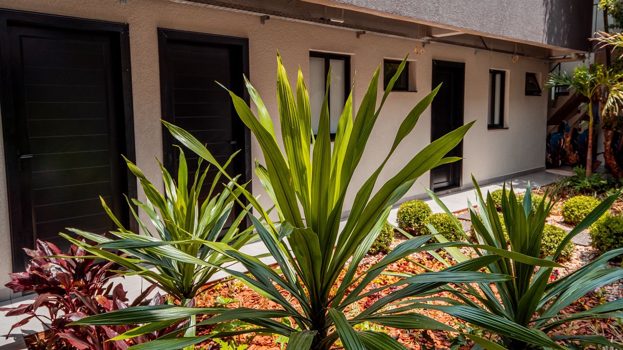 Photo of Patio Balcony in Regiao do lago