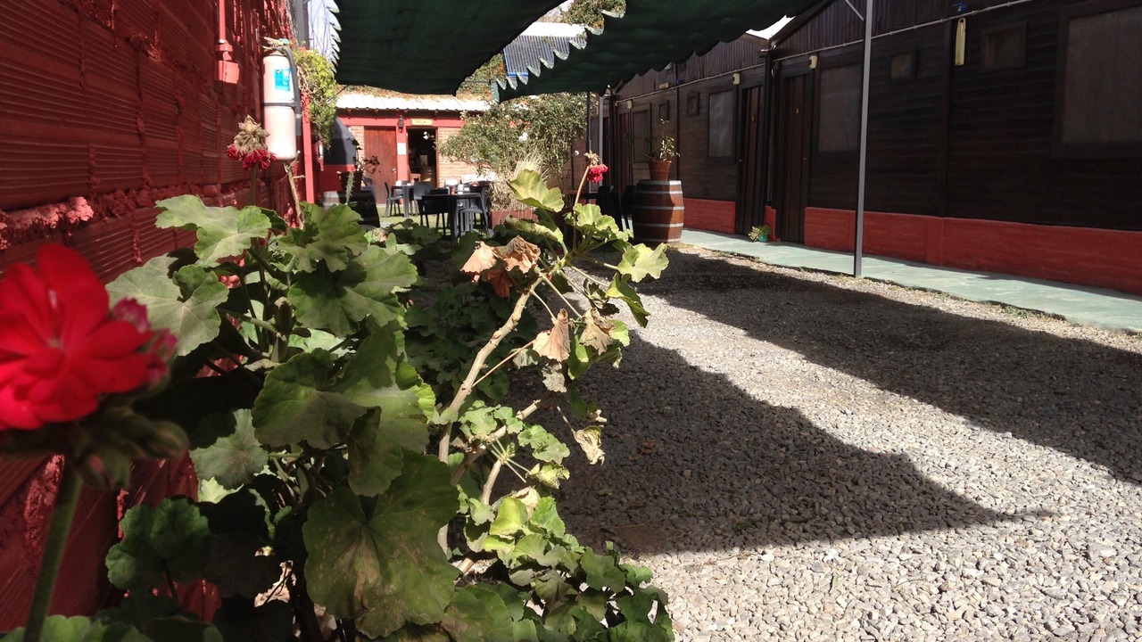 Photo of Others in Cafayate