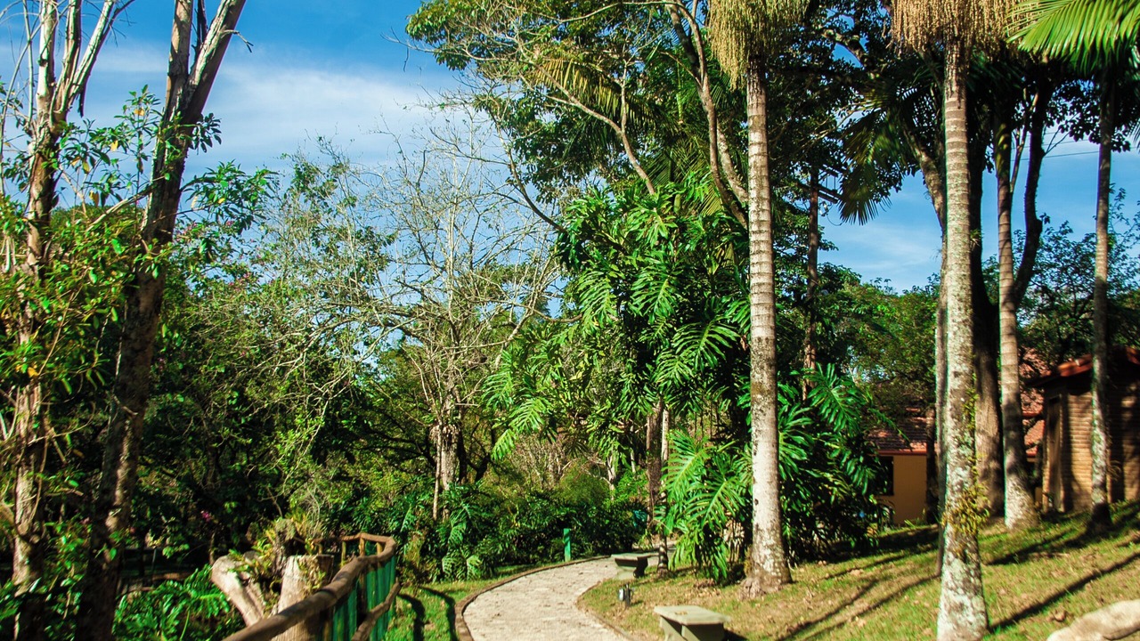 Photo of Outdoor in Igarata