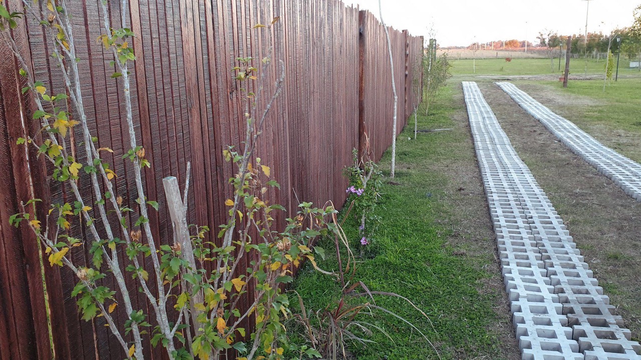 Photo of Outdoor in Lobos