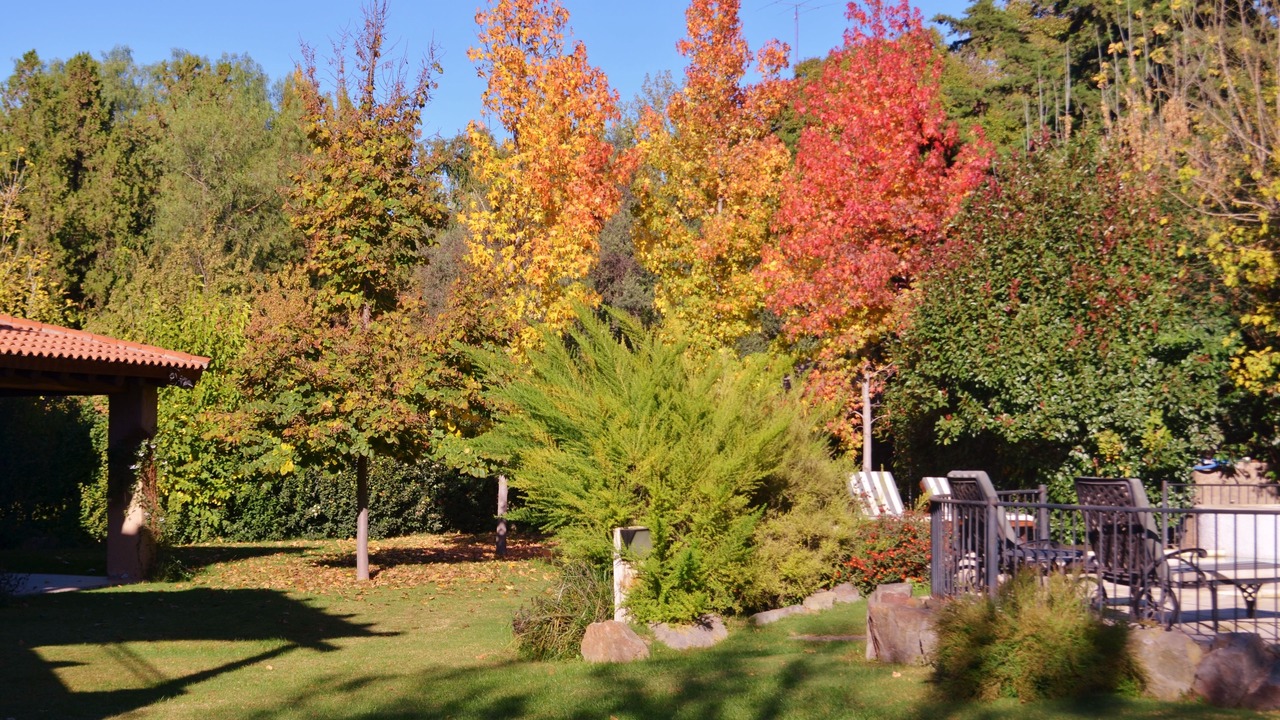 Photo of Outdoor in Chacras de Coria