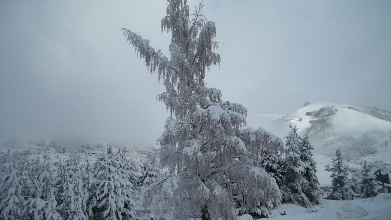 Photo of Outdoor in Villa Catedral
