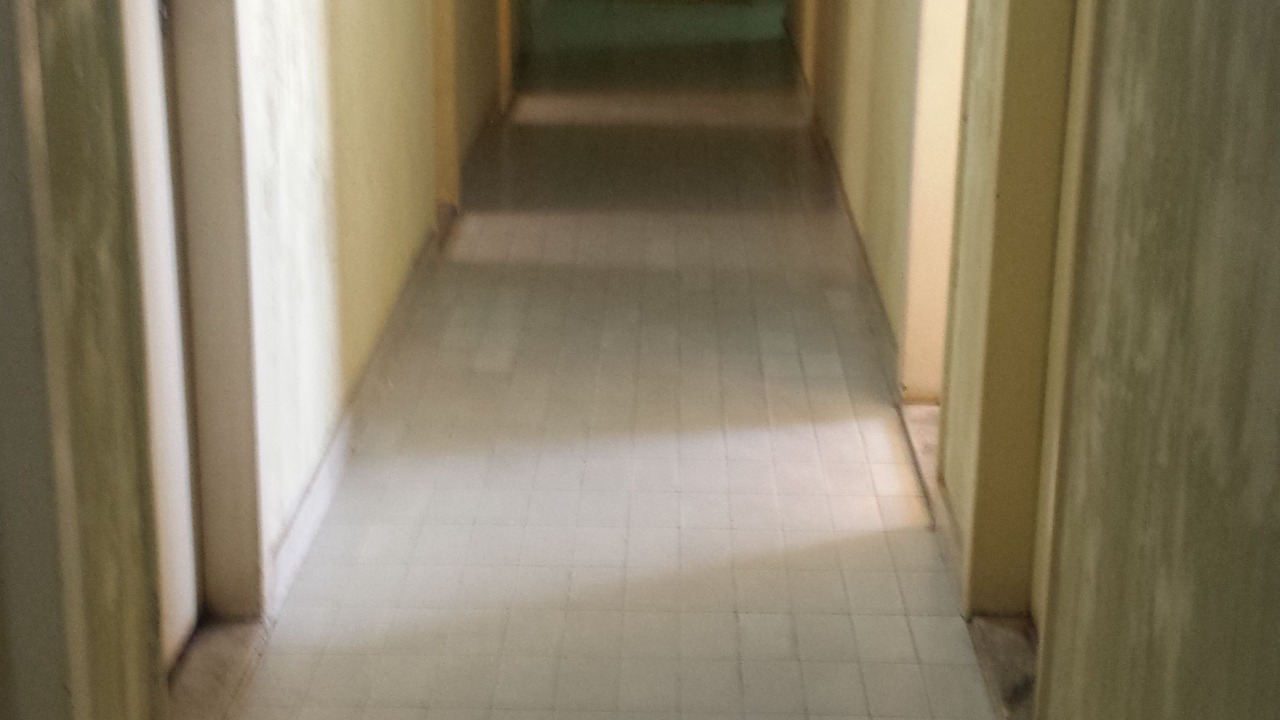 Photo of Others in Centro