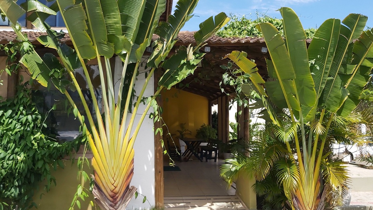 Photo of Outdoor in Barra Velha