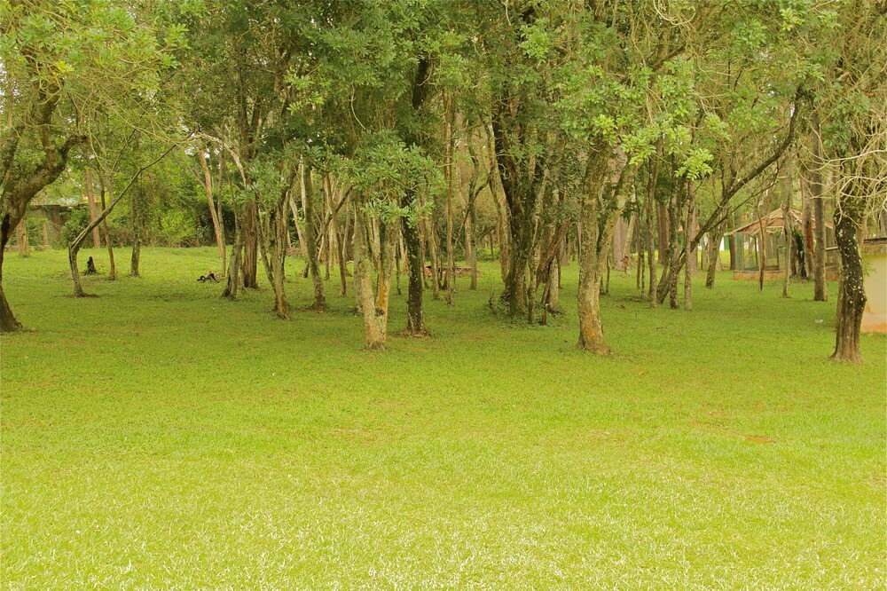Photo of Outdoor in Cotia