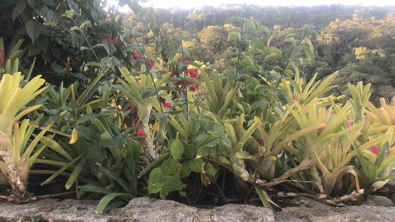 Photo of Outdoor in Itaipava