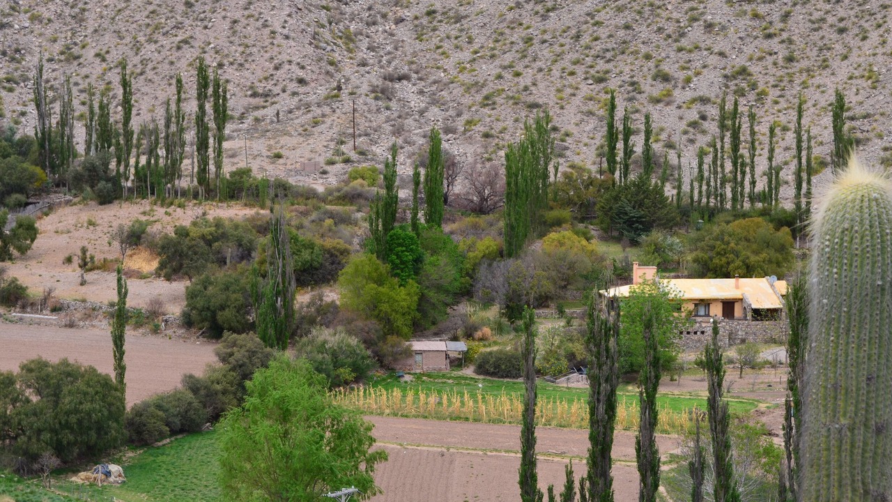 Photo of Outdoor in Tilcara