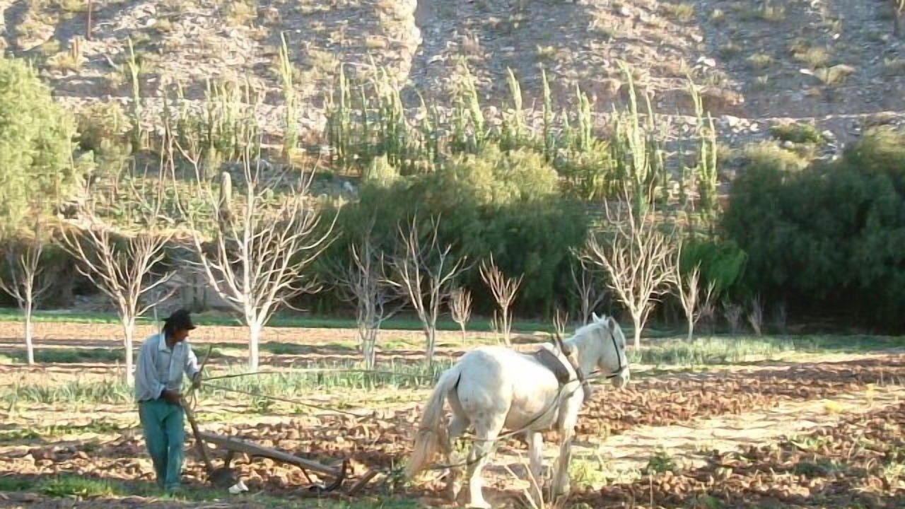 Photo of Outdoor in Tilcara