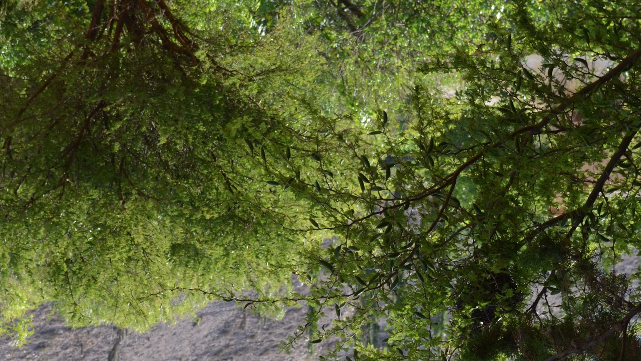 Photo of Outdoor in Tilcara