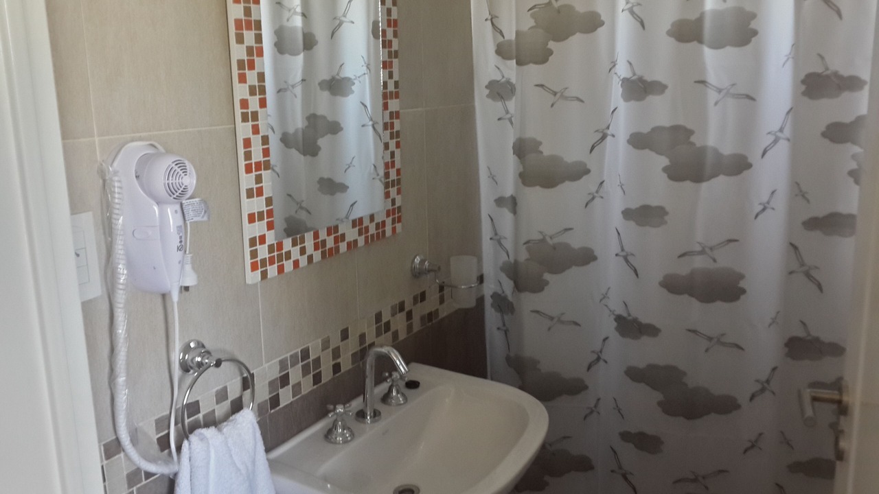 Photo of Bathroom in Lonquimay