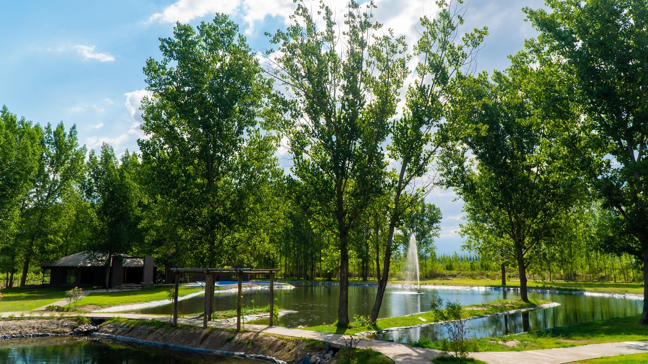 Photo of Outdoor in Tunuyan