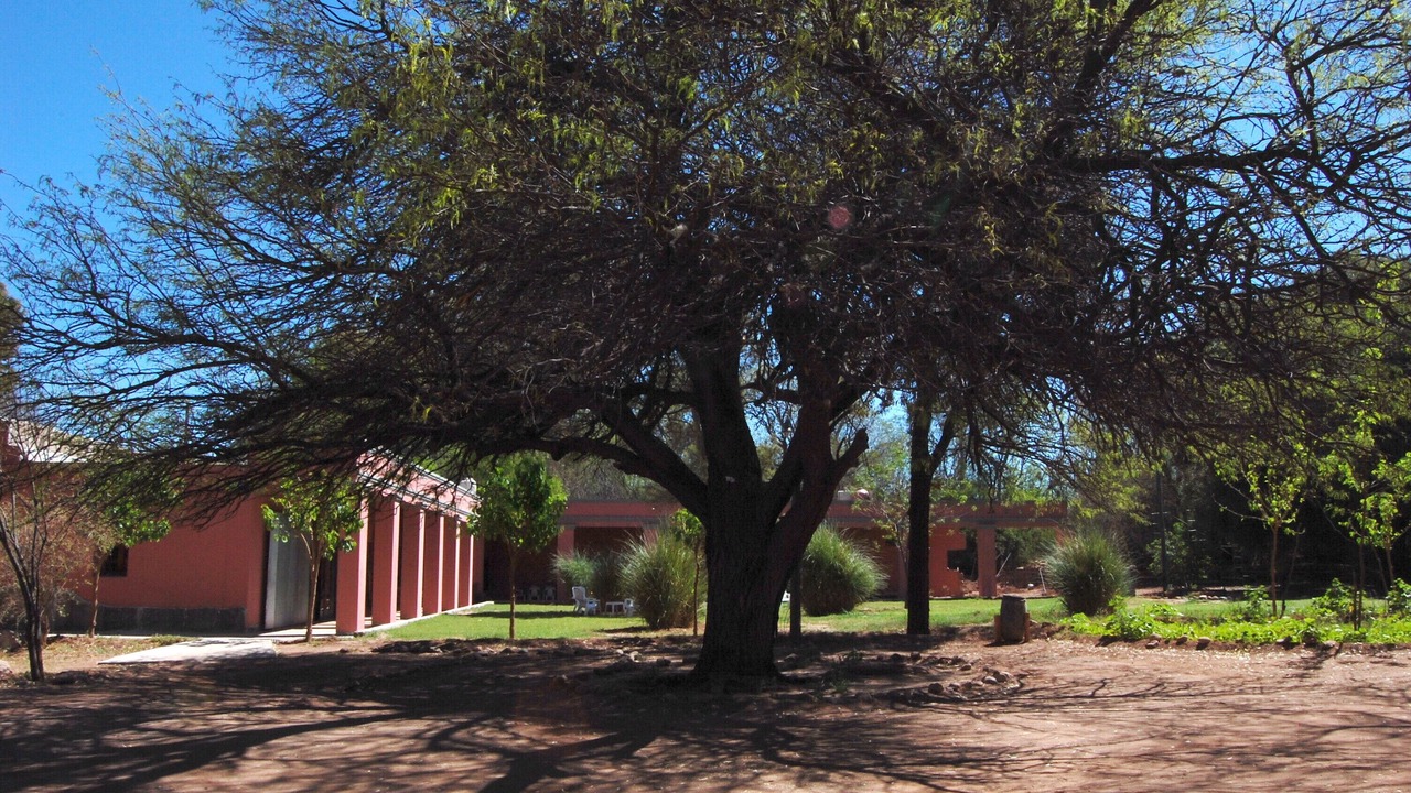 Photo of Outdoor in La Puntilla