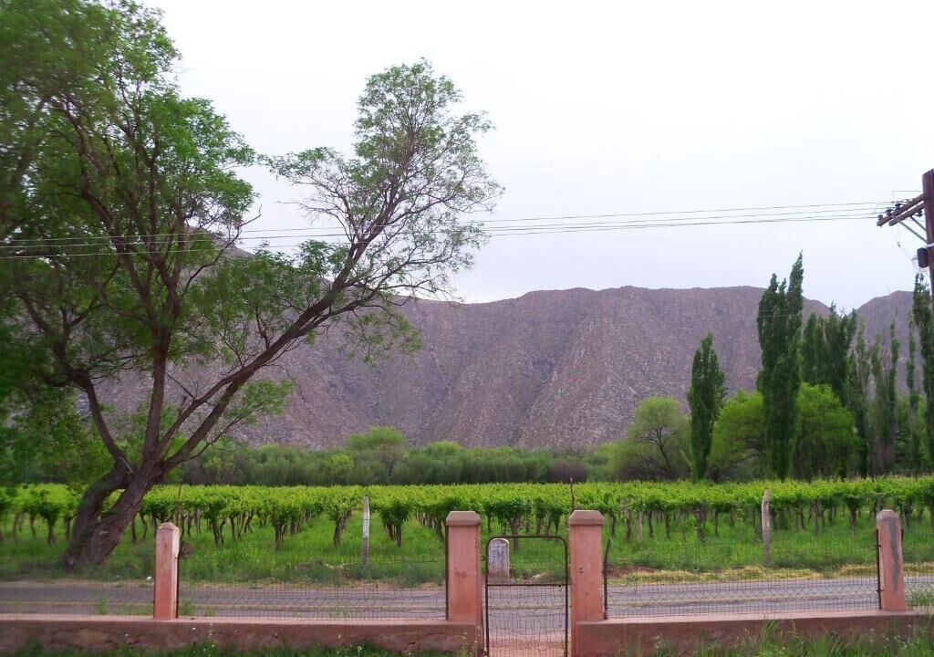Photo of Outdoor in La Puntilla
