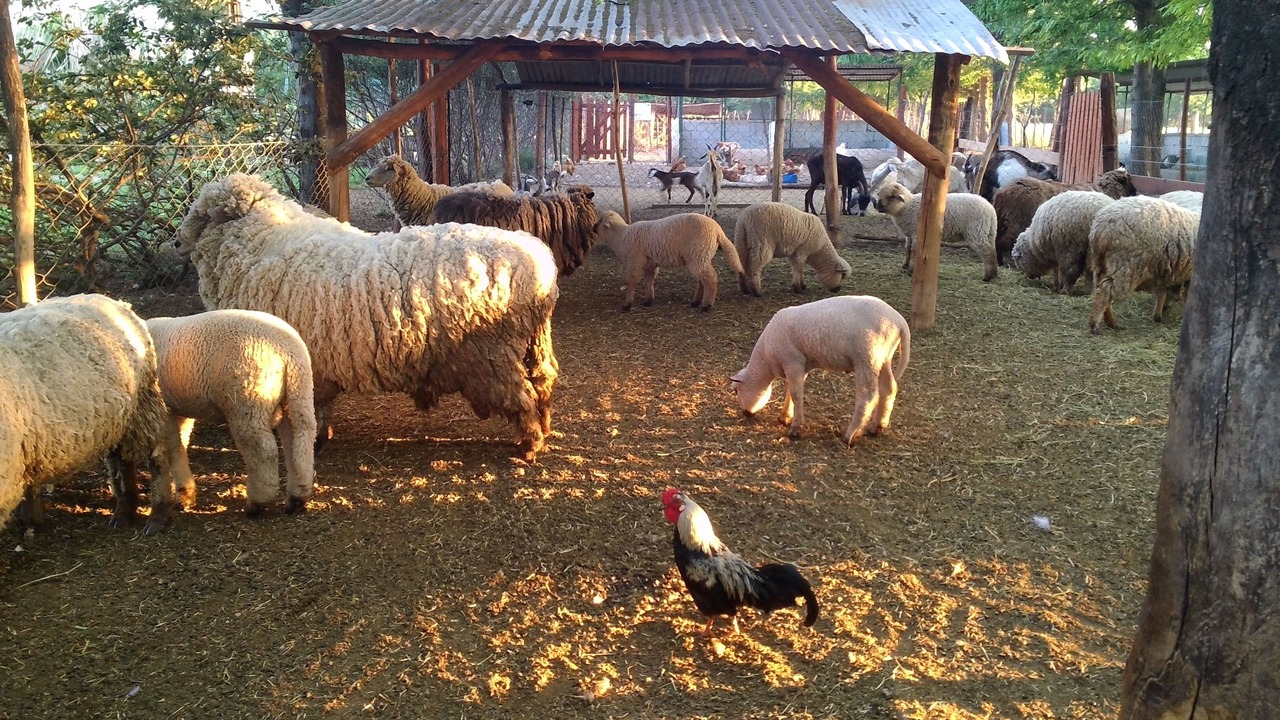 Photo of Outdoor in Nono