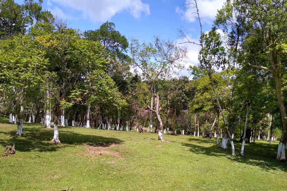 Photo of Outdoor in Sao Paulo