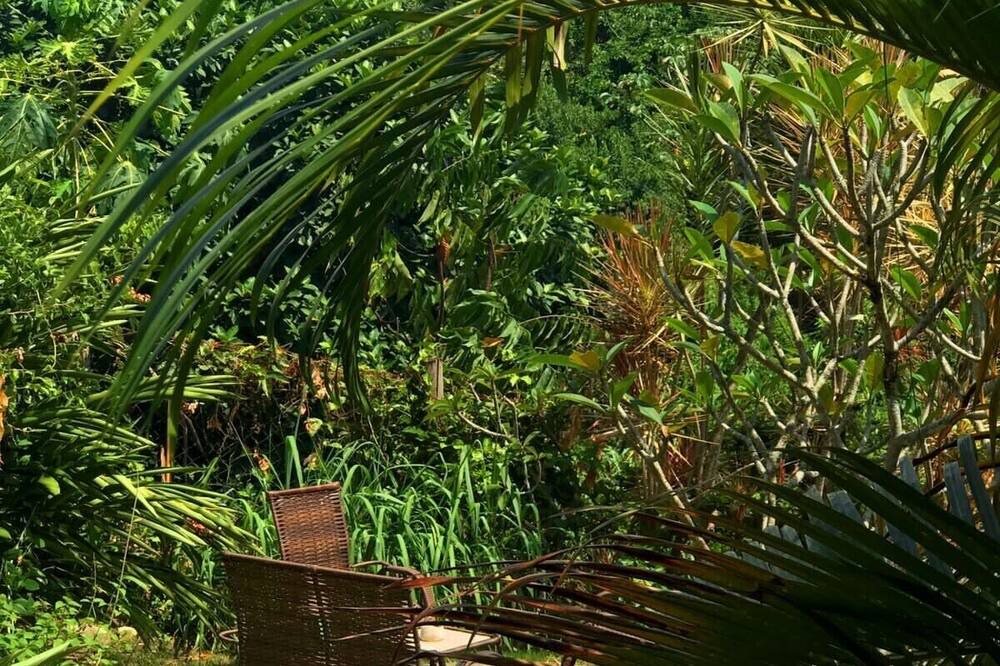Photo of Outdoor in Pontal