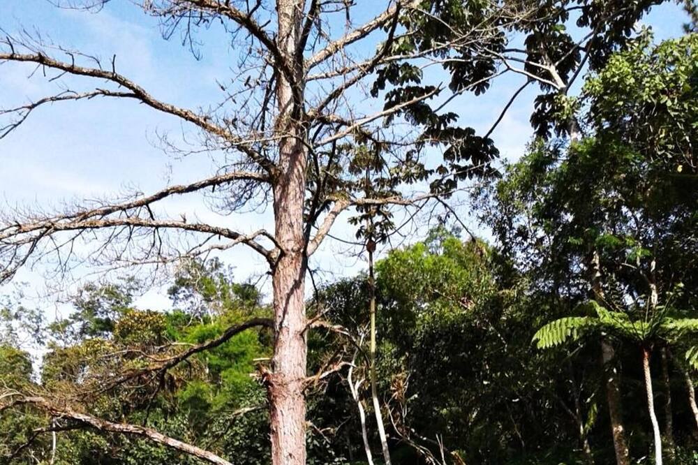 Photo of Outdoor in Embu das Artes